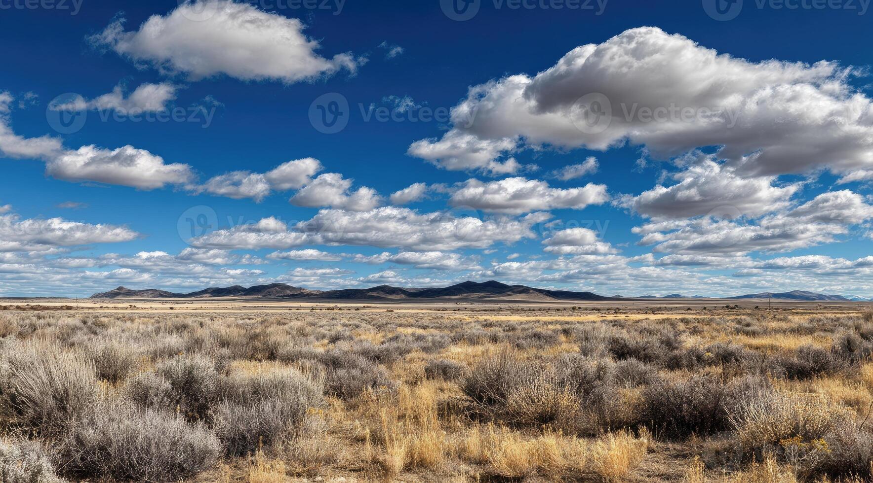 Expansive Plains Underneath a Cloud-Strewn Blue Sky photo