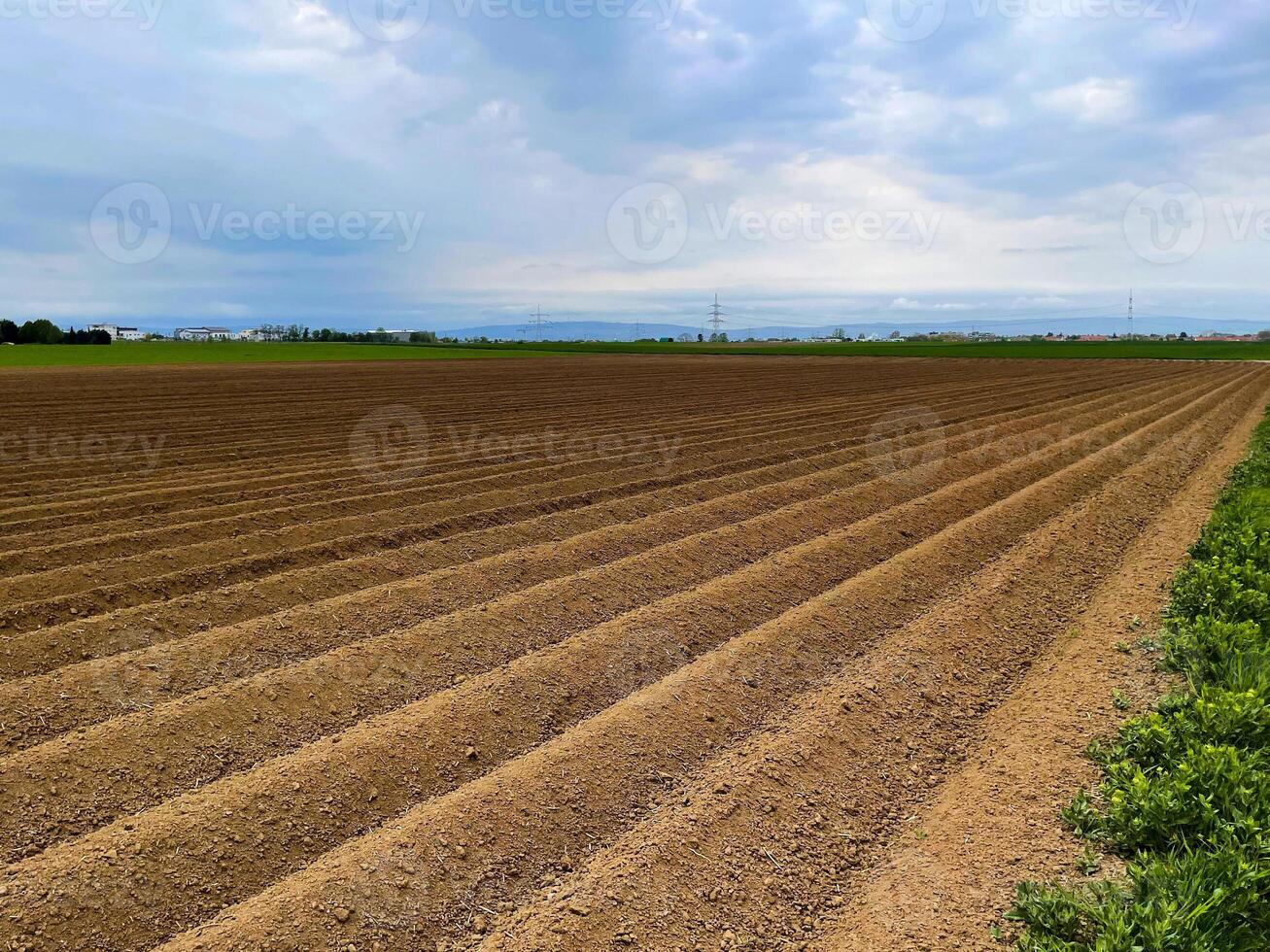 image of field in spring, agricultural work sowing, farm field, growing crops and preparing soil in spring photo