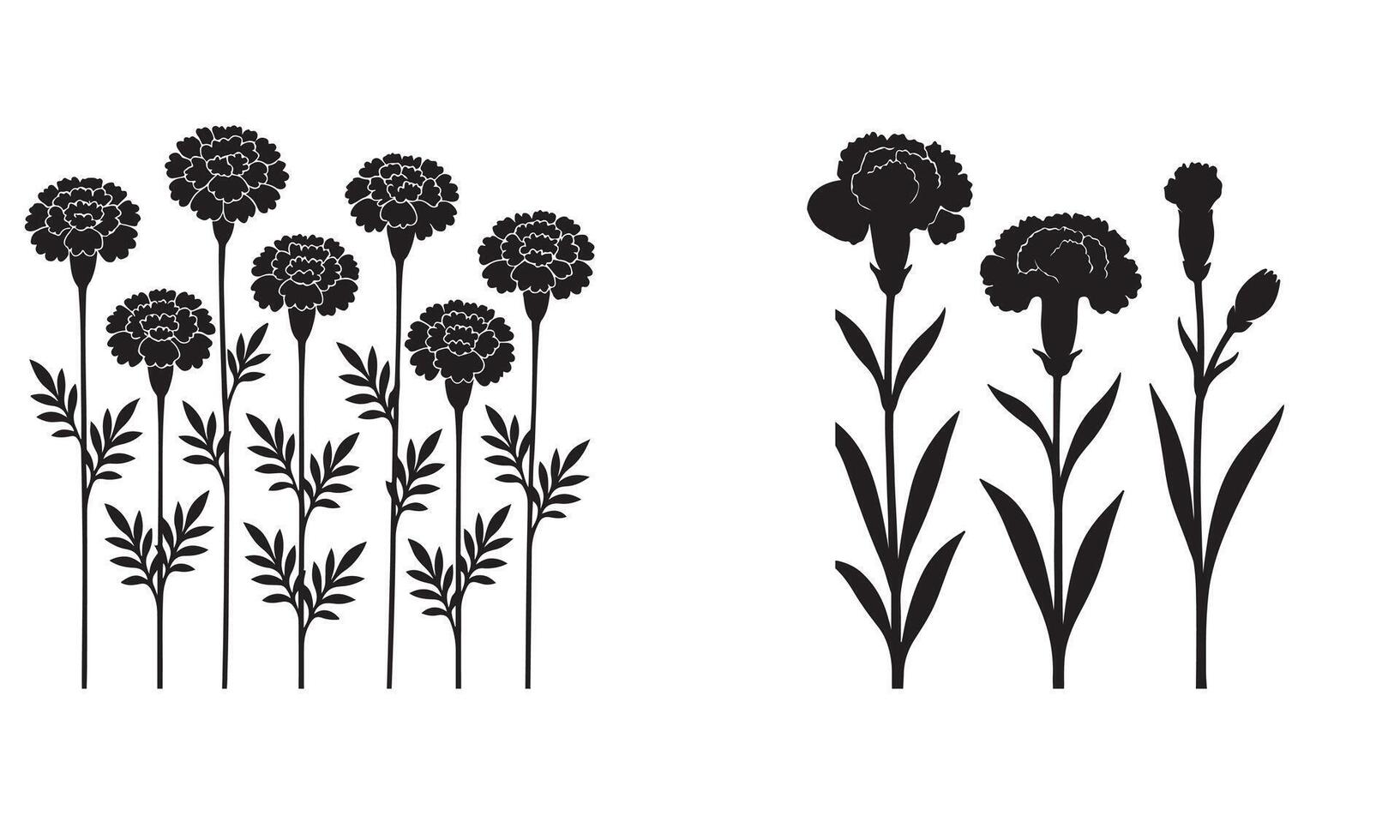 Black Silhouette Marigold and Carnation Flowers Botanical Illustration Floral Design Elements vector
