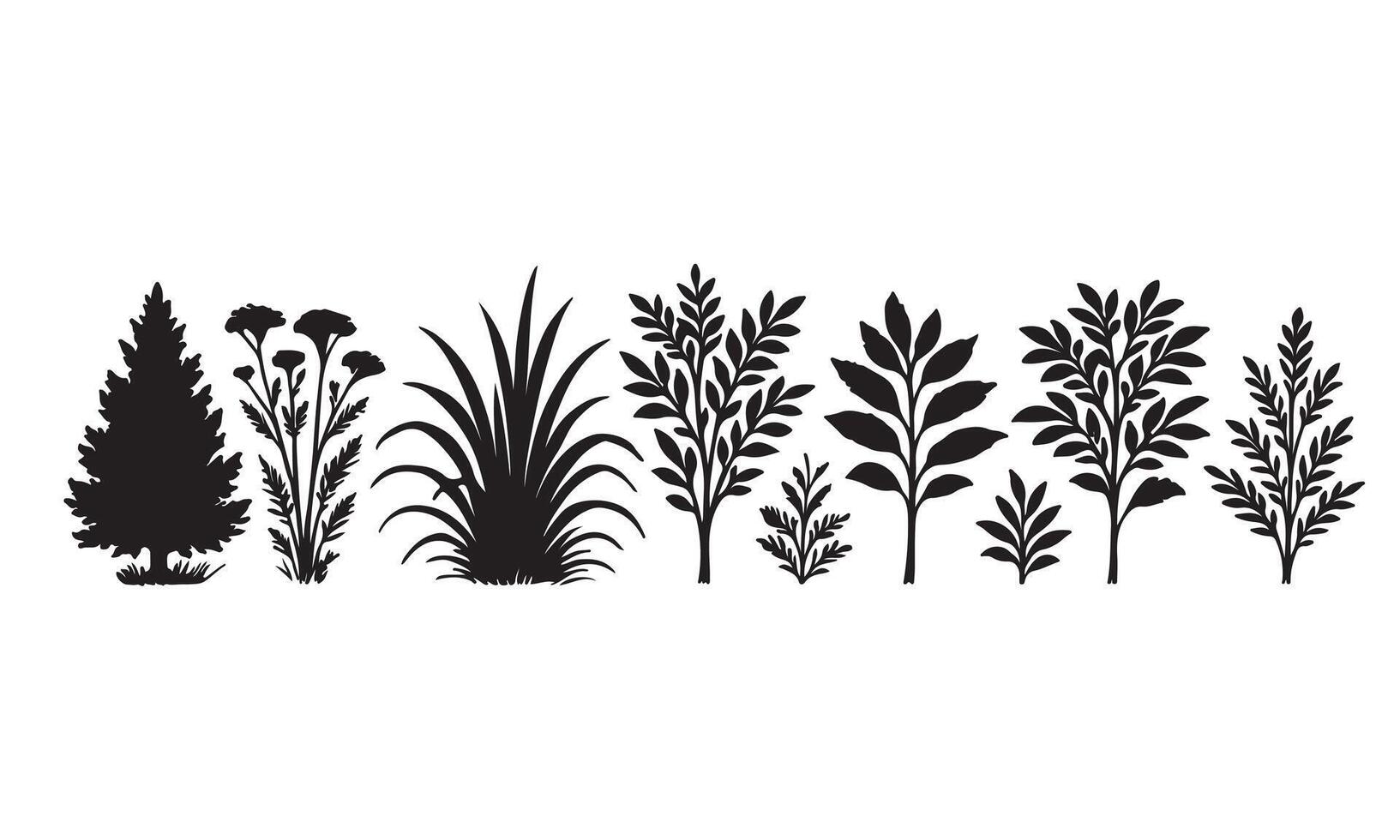 Black Silhouettes of Various Plants Trees and Flowers Botanical Illustration Set vector