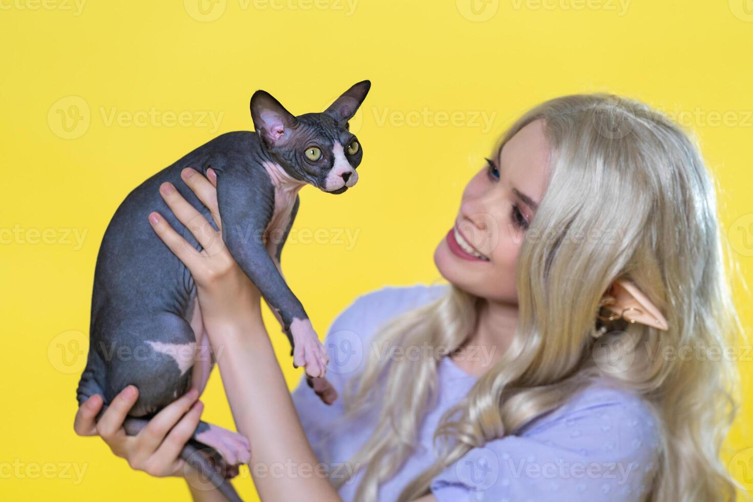 Sphynx kitten and young blonde woman cosplay on yellow background. Elf in summer blue dress, with curly long hair smiling, holding in hands and showing lovely thoroughbred animal. Focus on kitten. photo