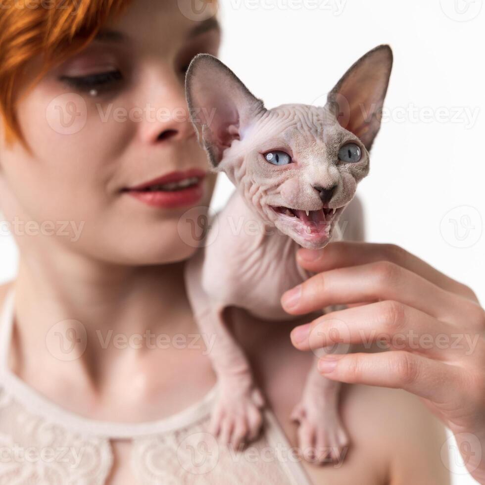 Sphynx Hairless kitten meowing, sitting on shoulder of redhead young woman. Close-up view, studio shot on white background. Selective focus on foreground, shallow depth of field. Part of series. photo