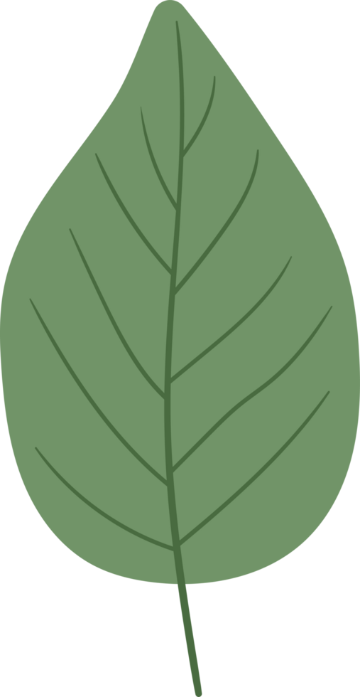 A digitally rendered, green leaf with prominent veins and a simple aesthetic png