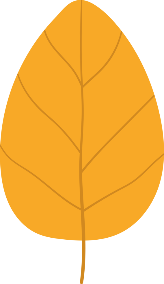 Fall Foliage Single Autumn Leaf Illustration with Classic Vein Structure png