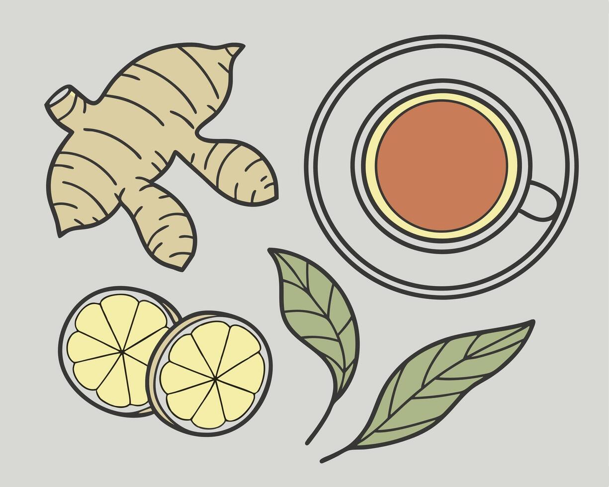 Ginger Lemon and Tea Illustration for a Relaxing and Healthy Beverage vector