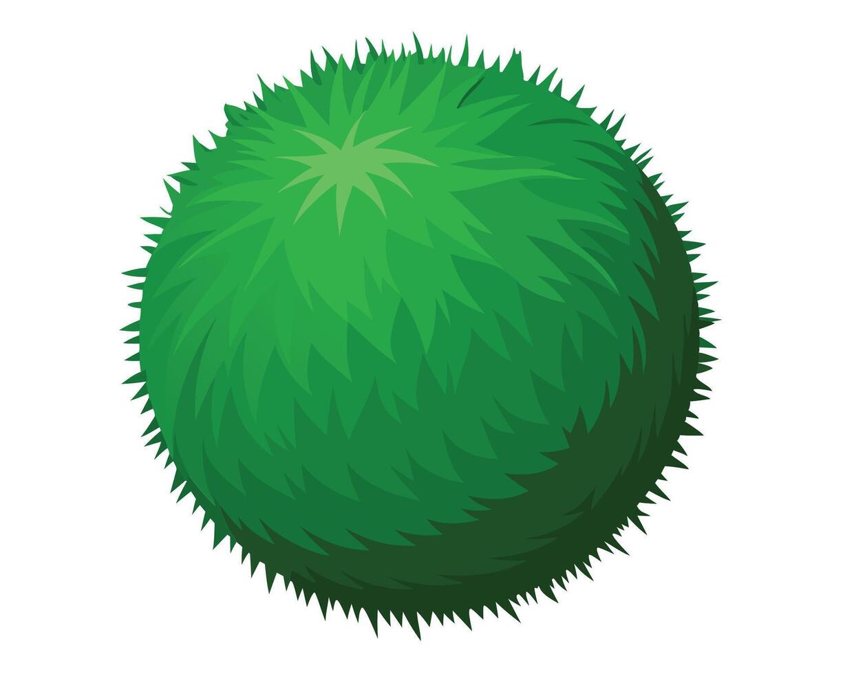 Stylized Green Bush or Shrub in a Spherical Shape on White Background vector