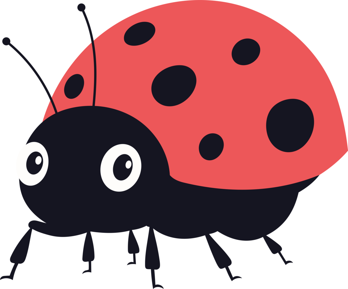 Cartoon ladybug with red shell and black spots on a transparent background png