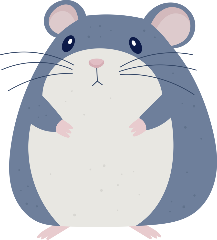Cartoon illustration of a plump, grey and white mouse with long whiskers png