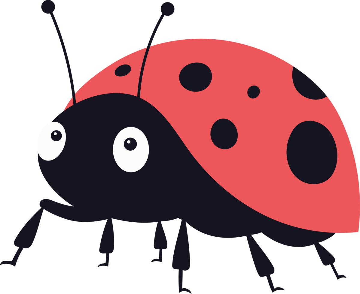 Stylized ladybug with red shell and black spots, cartoonish insect illustration. png