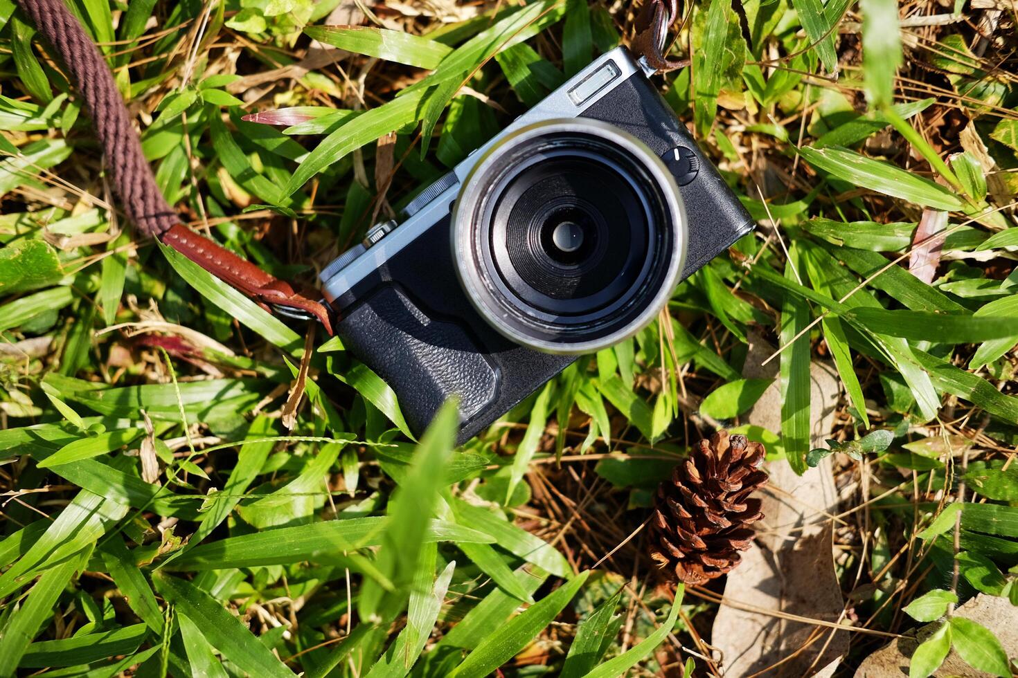Vintage mirrorless camera and pine cone on green lawn grass in natural sunlight shining day in garden photo