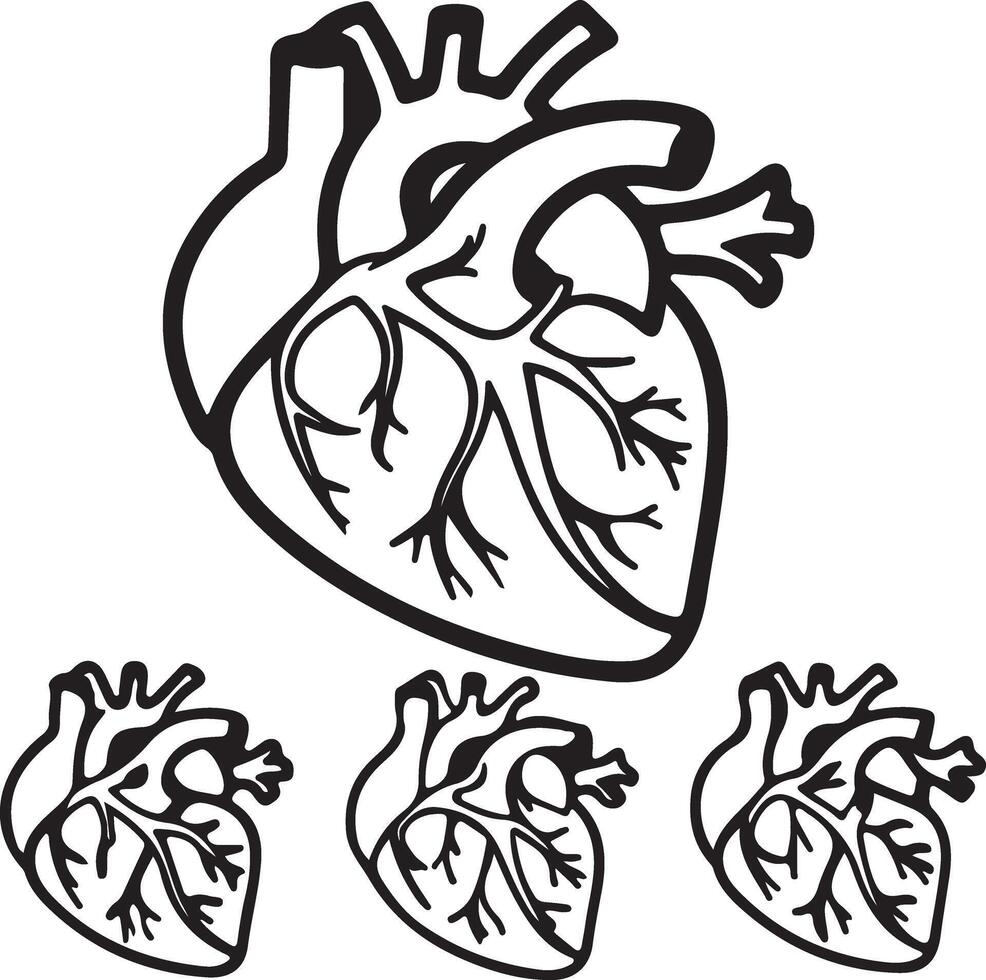 Detailed Black and White Illustration of a Human Heart with Three Smaller Hearts, Symbolic of Life, Love, and Health vector