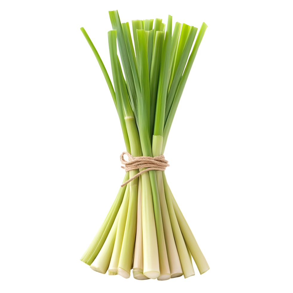 Fresh Lemongrass Tied Bunch isolated on transparent background png