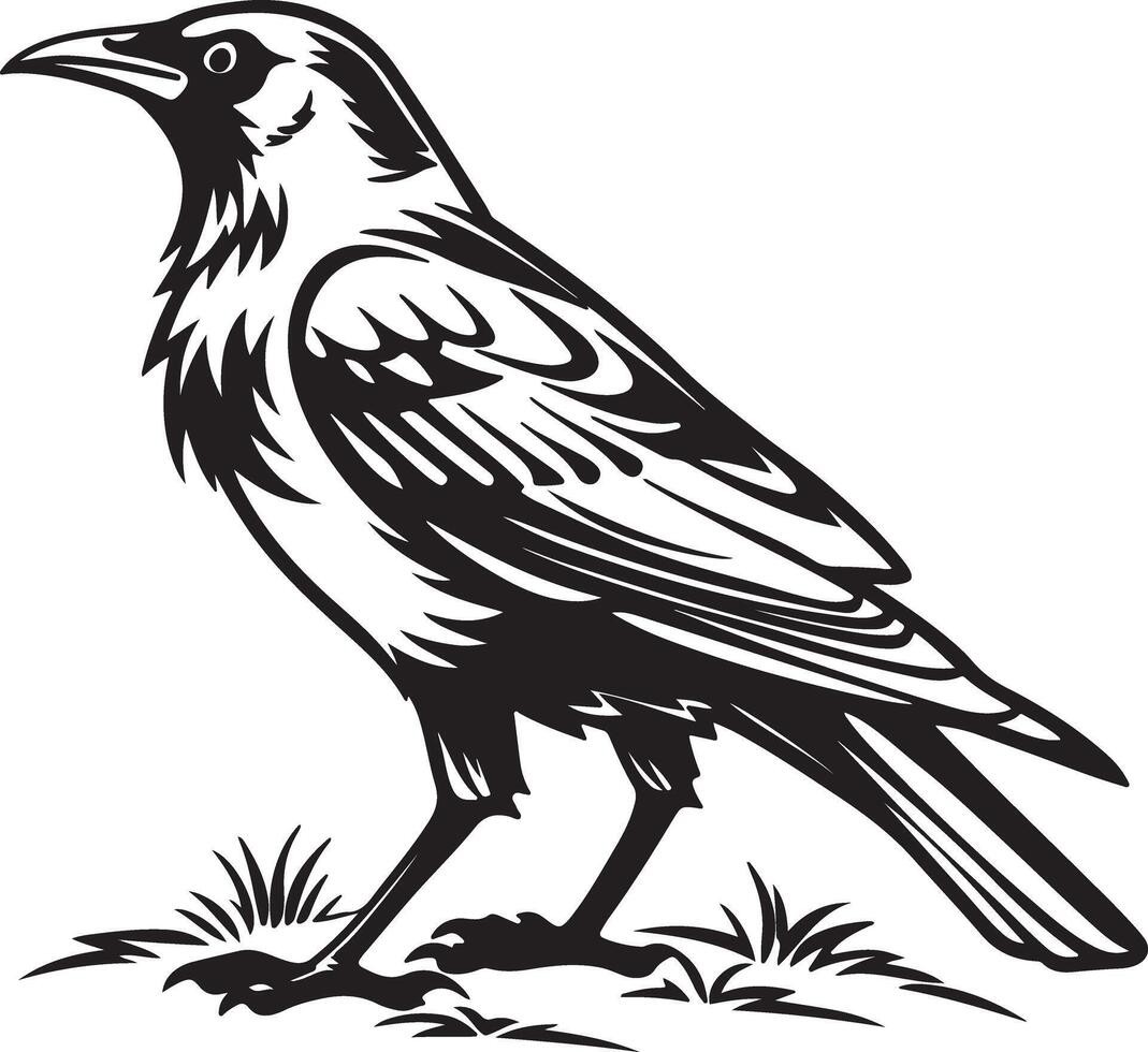 Majestic Black Crow Perched on Grassland, Striking Monochrome Illustration of a Wild Bird in Nature vector