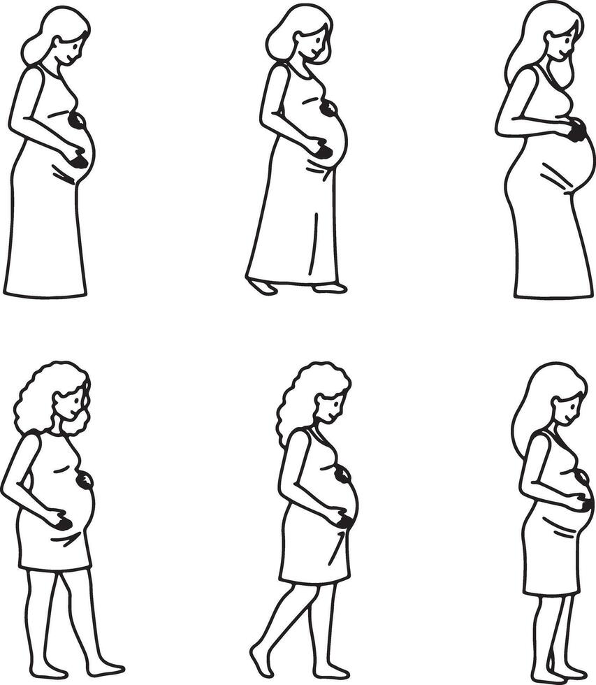 Six Silhouettes of Pregnant Women in Dresses, Showing Stages of Pregnancy, Serene and Simple Line Art Illustration vector