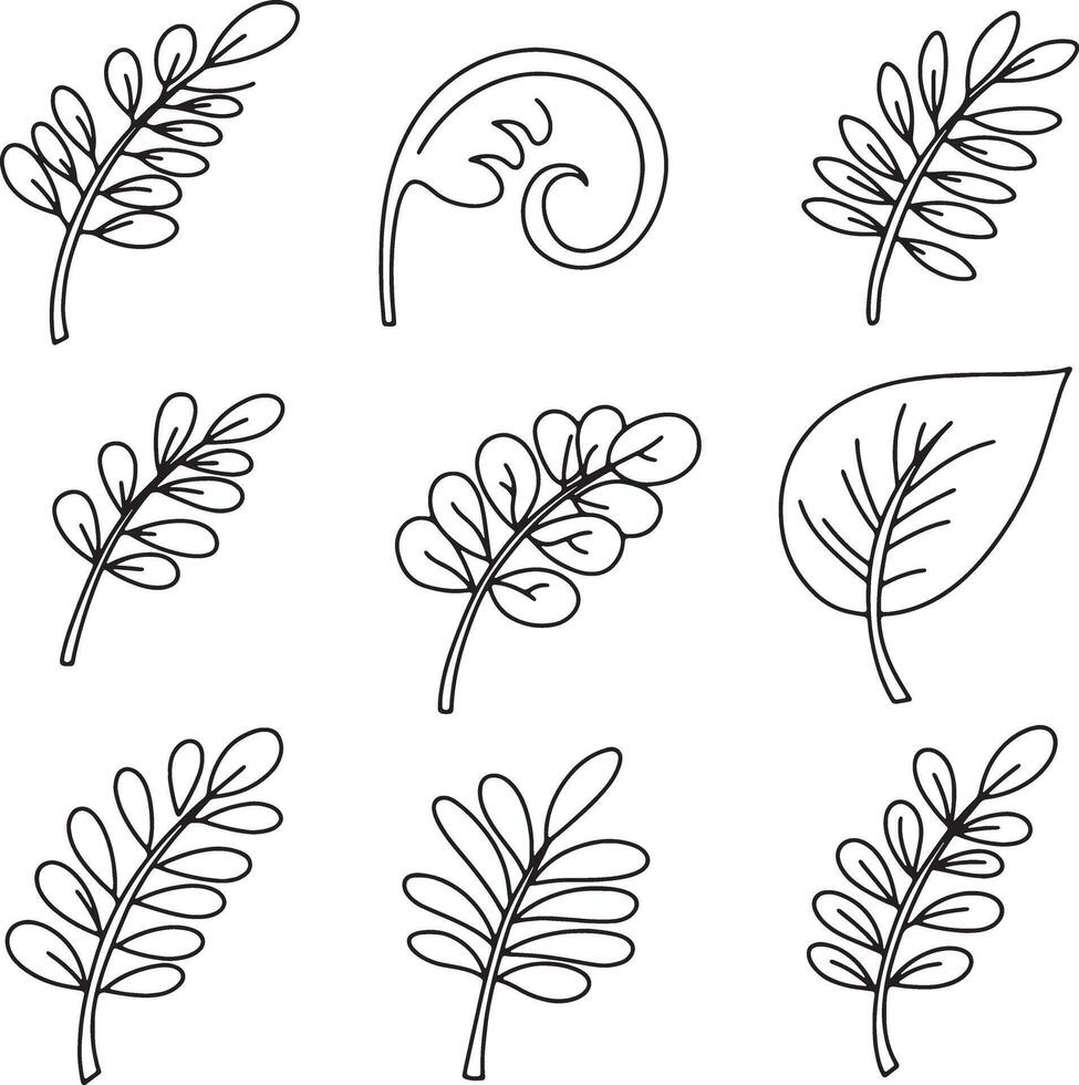 Nine Elegant Hand-Drawn Botanical Leaf Illustrations Simple Line Art of Sprigs, Fern, and Leaves in a Serene White Background vector
