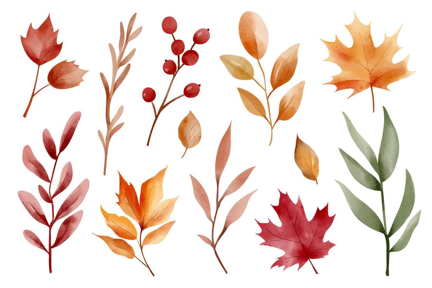 Watercolor autumn leaves collection vector