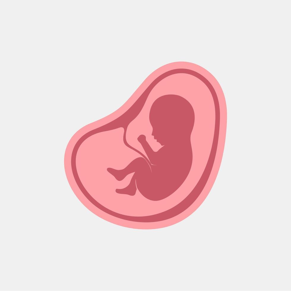 fetus in womb icon illustration vector
