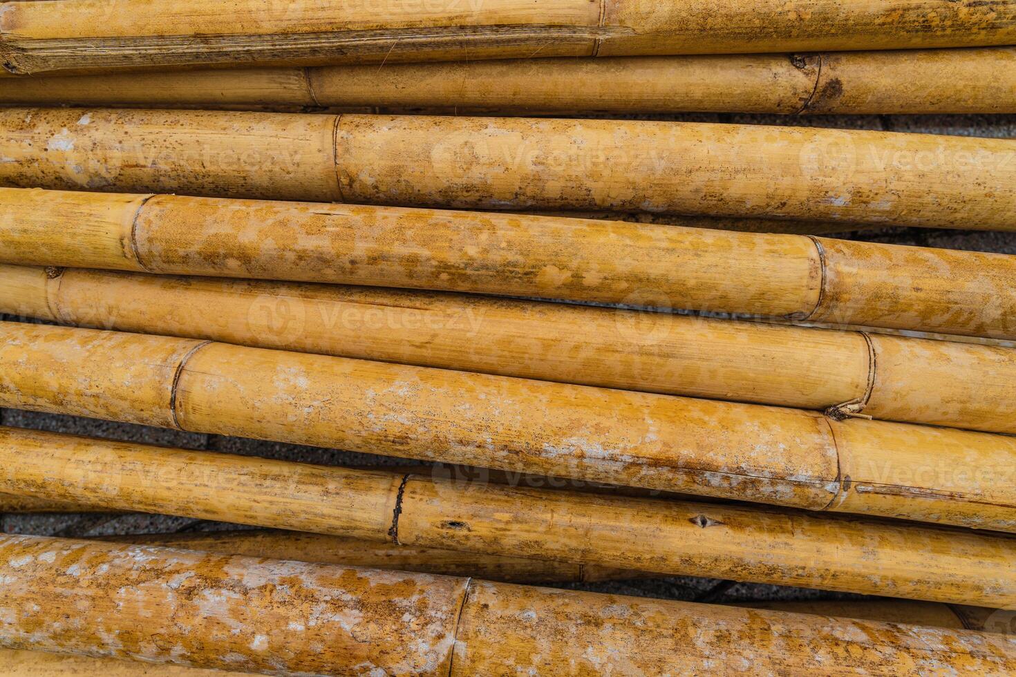 Brown Aesthetic Wood Pattern From Bamboo Tree Trunks photo