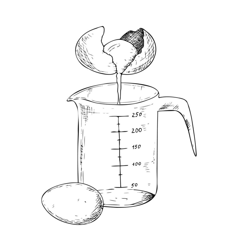Raw egg cracked into a clear plastic measuring cup in a kitchen setting. Graphic hand drawn golden yolk and transparent whites captured in clean food preparation. Illustration isolated on vector