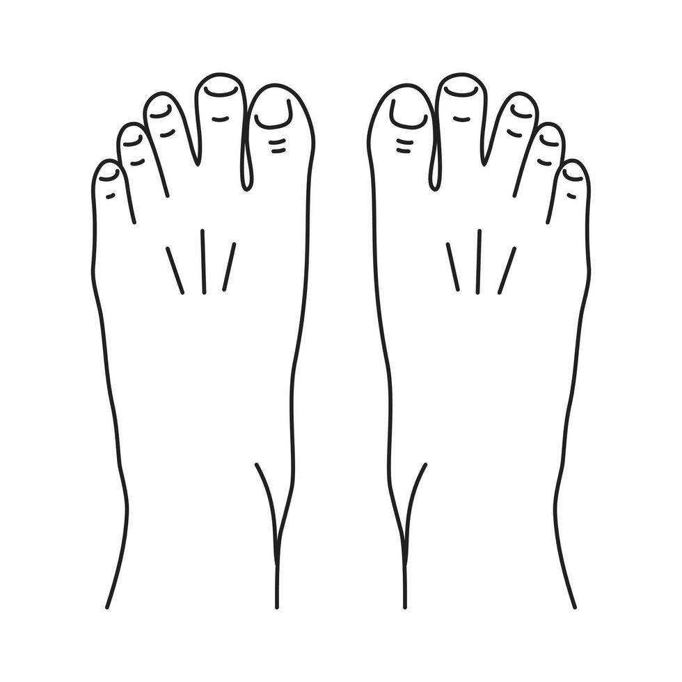 Two bare human feet editable stroke on white background. Top view. Foot legs. flat outline icon illustration isolated. vector