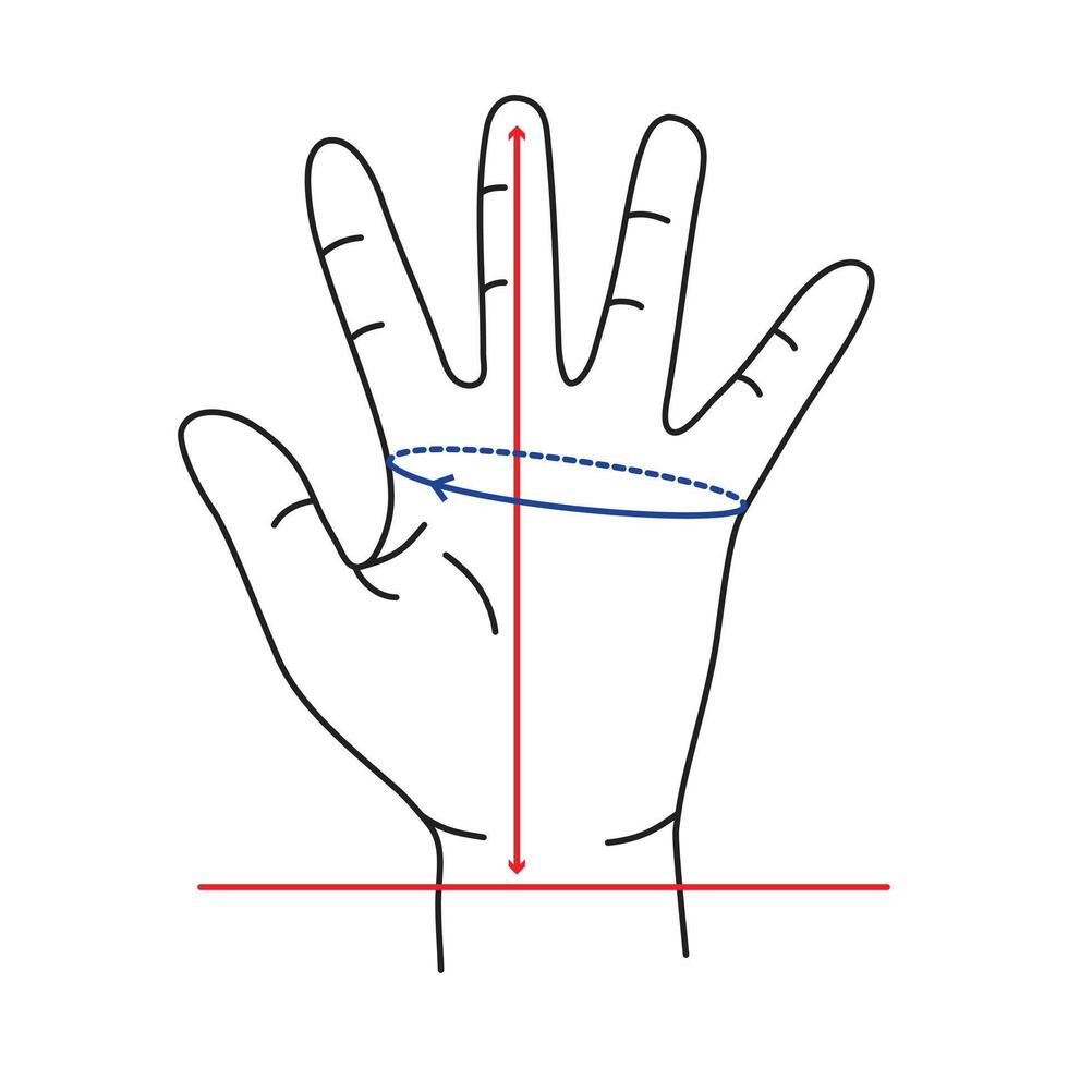 Measuring Hand for Gloves editable stroke. Defining correct hand size. To find out glove size, measure around hand with a tape measure across palm. Measuring the distance between the mark. vector