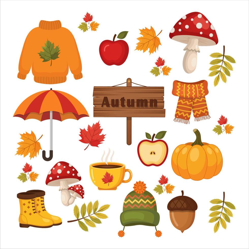 Autumn illustration with cozy elements vector