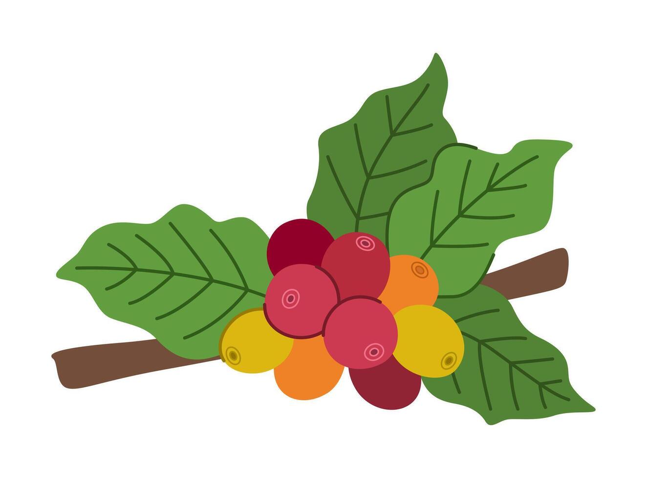 cartoon coffee berries on a branch with leaves. vector