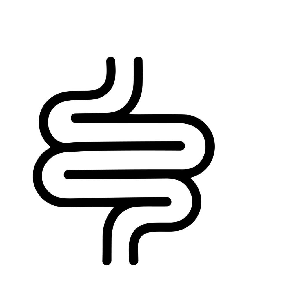 Outline Simple Human Intestine Anatomy Organ System Medical Icon vector
