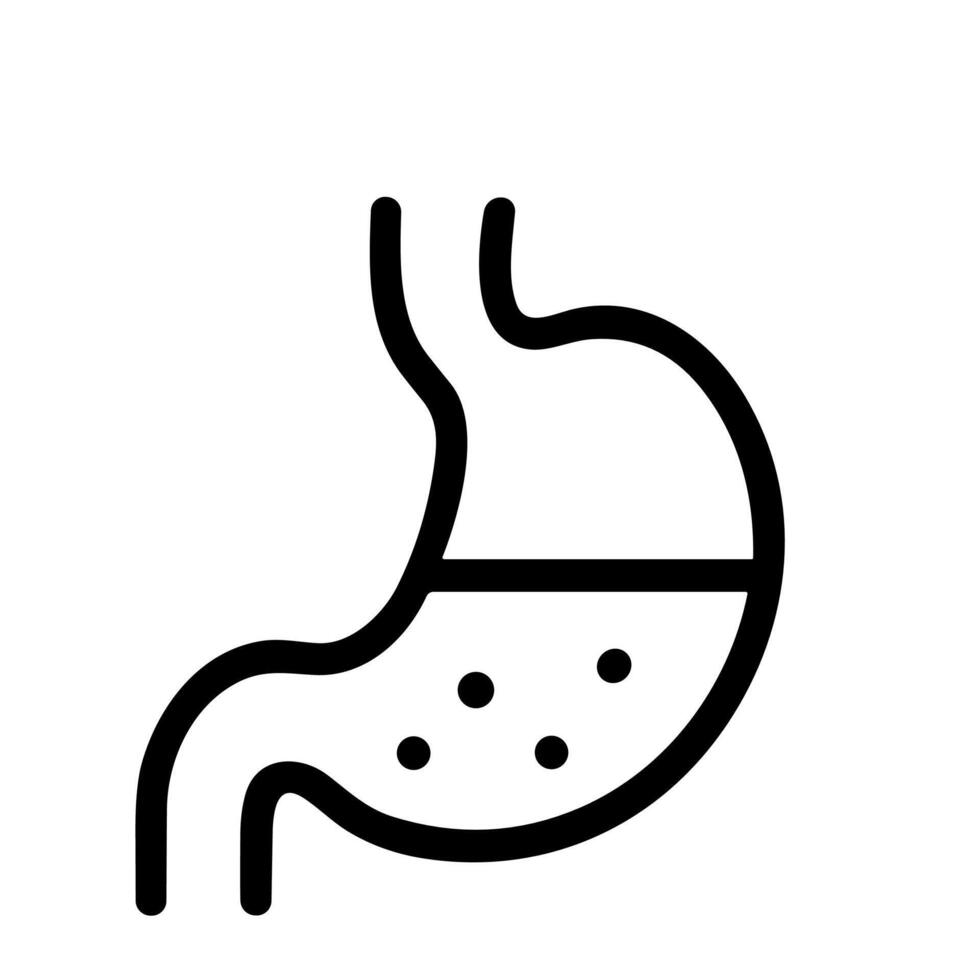 Line Drawing Human Stomach Organ With Fluid Isolated Illustration vector