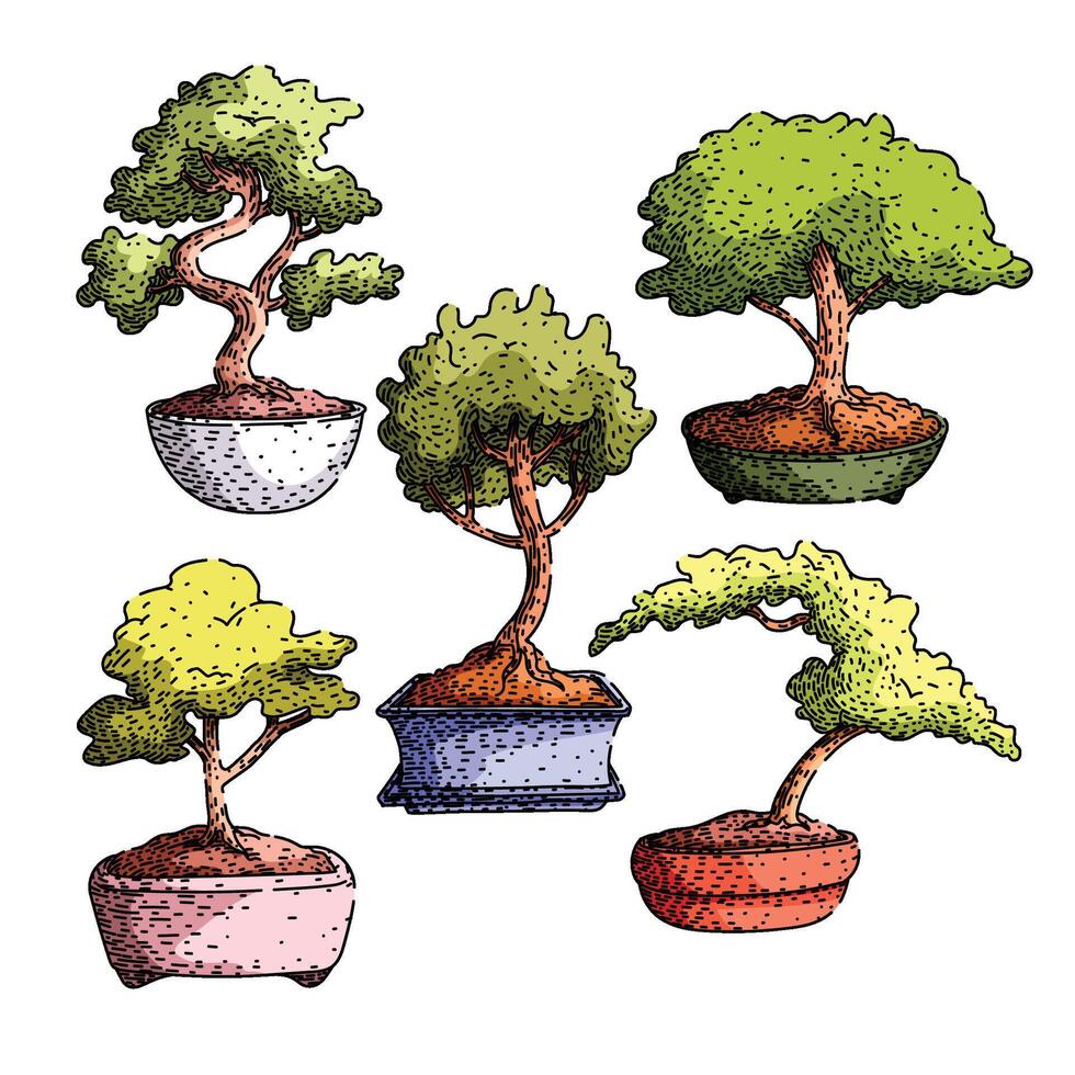 bonzai tree set sketch hand drawn vector