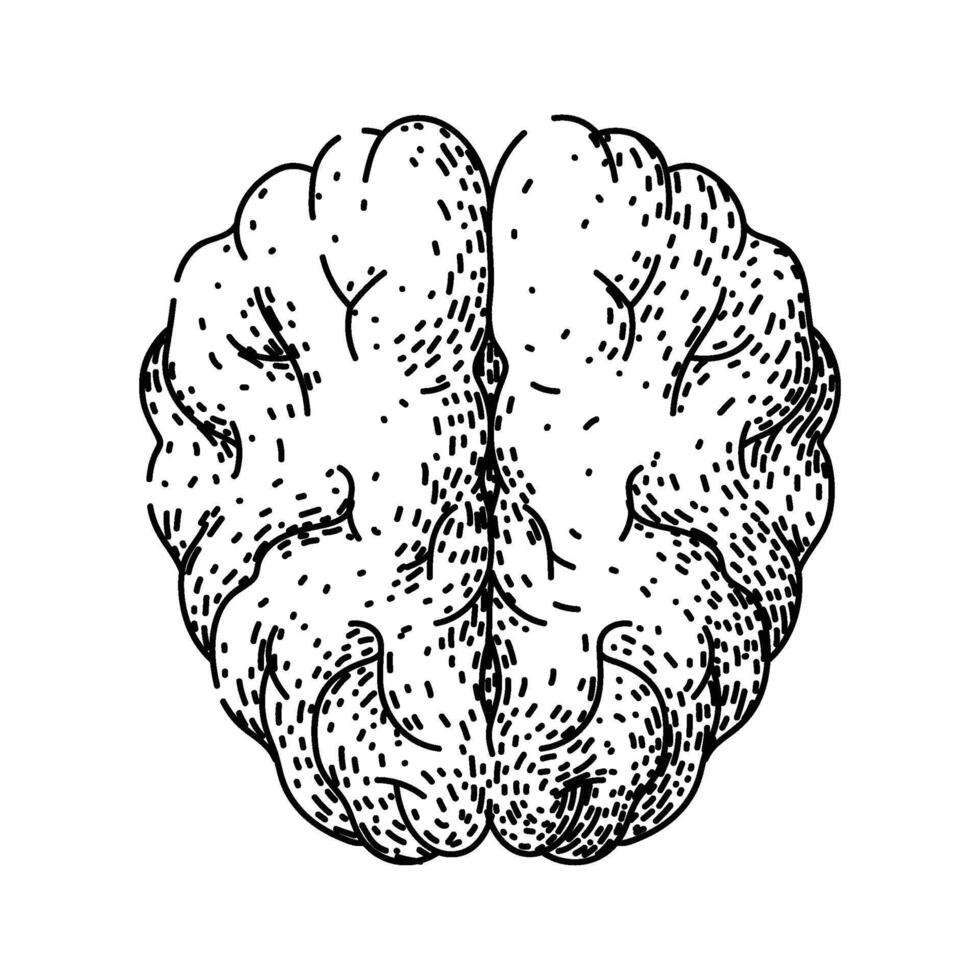 synapse brain sketch hand drawn element vector