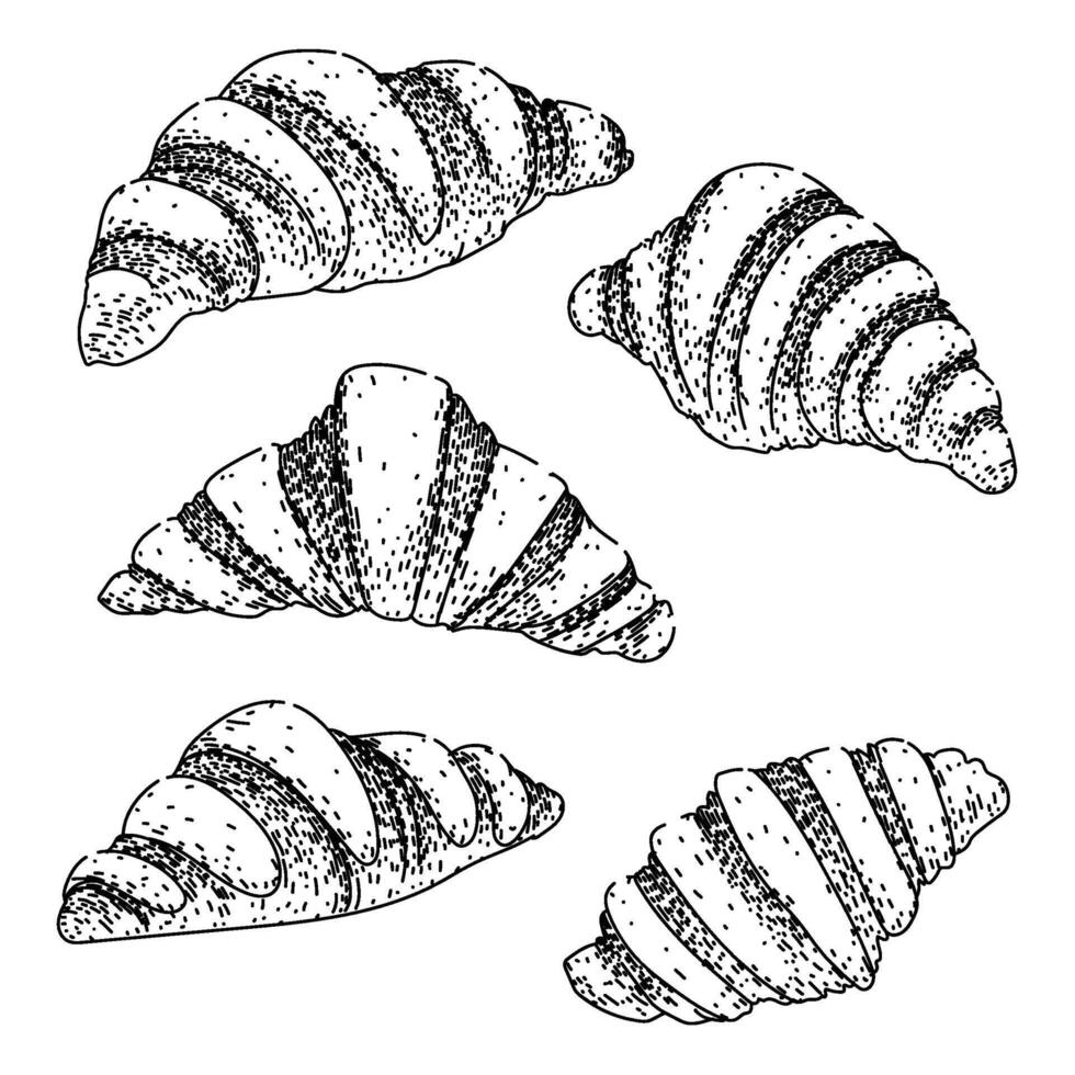 croissant set sketch hand drawn item vector