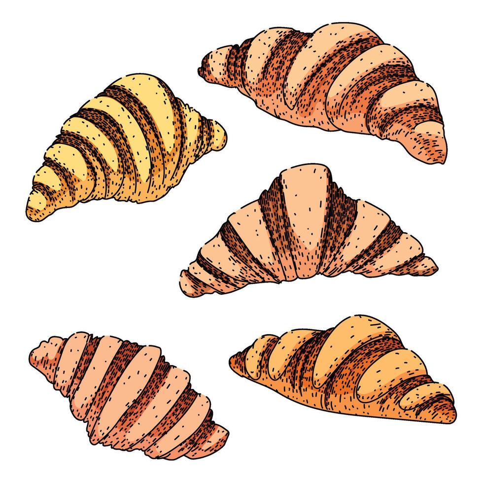 croissant set sketch hand drawn element vector