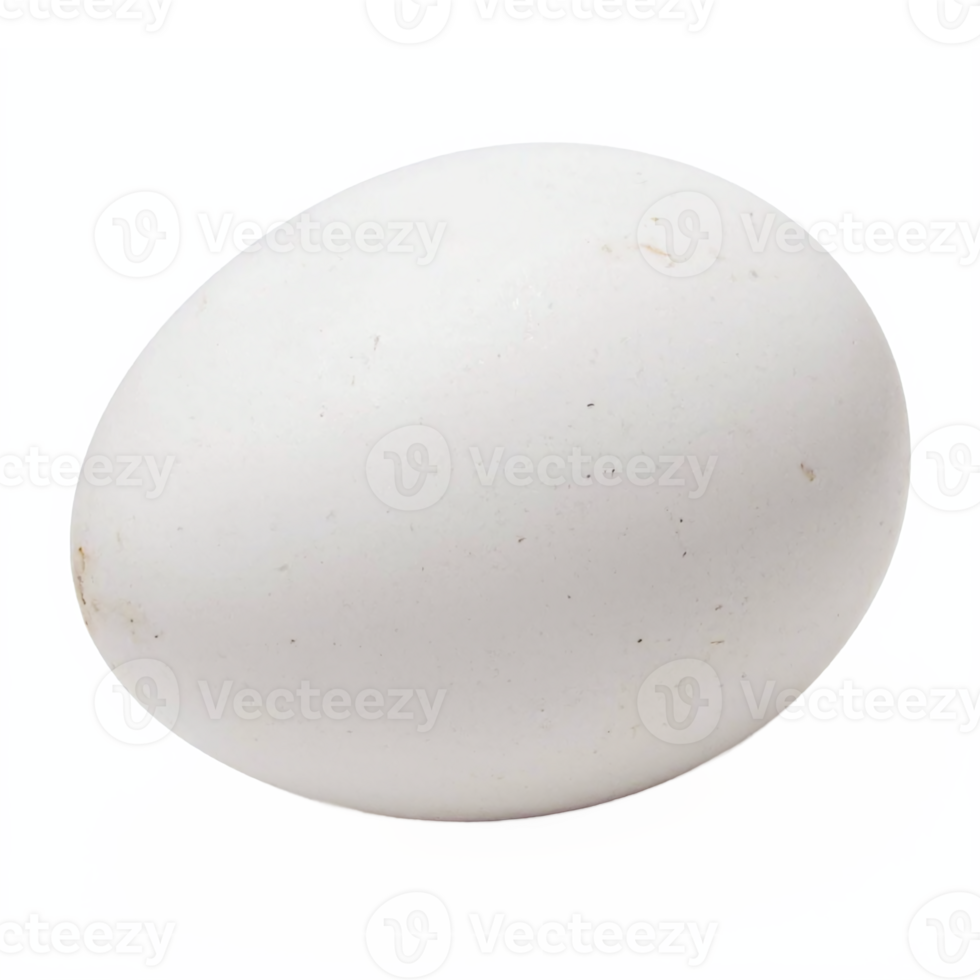 White Chicken Egg with Natural Texture Isolated on Transparent Background Clipping Path png