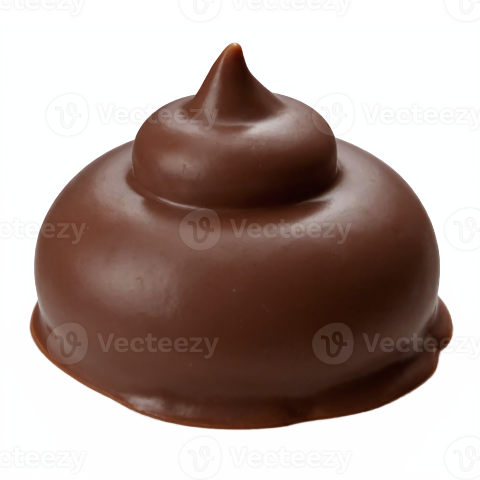 Chocolate Swirl Meringue Dessert Covered with Glossy Dark Chocolate Transparent Background Clipping Path png