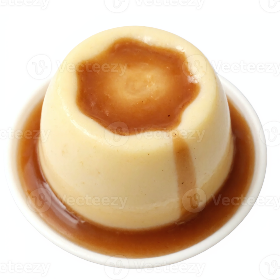 Creamy Vanilla Pudding with Caramel Sauce on White Plate Transparent Background Clipping Path png