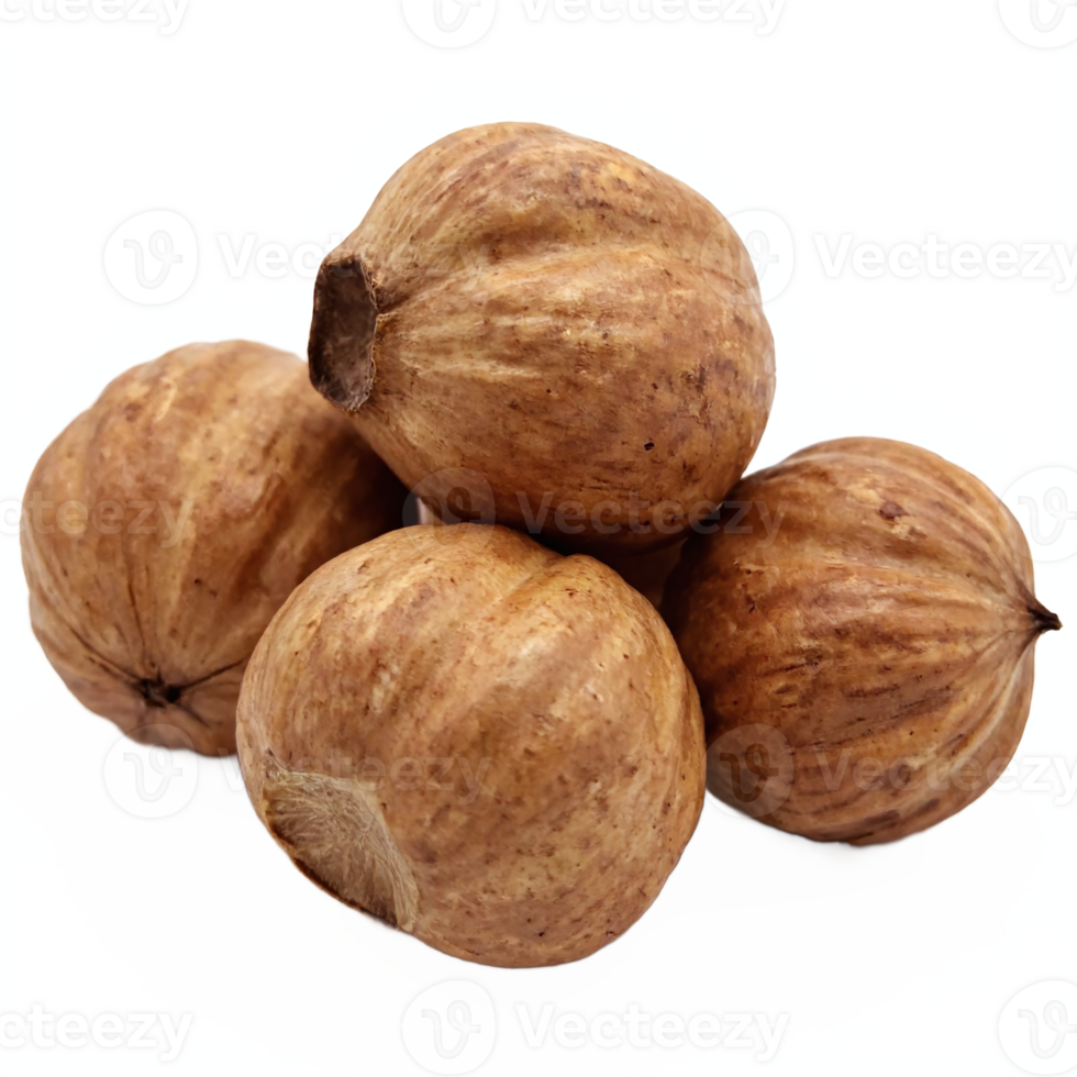 Dry Whole Nutmeg Spices with Natural Brown Shells Isolated on Transparent Background Clipping Path png
