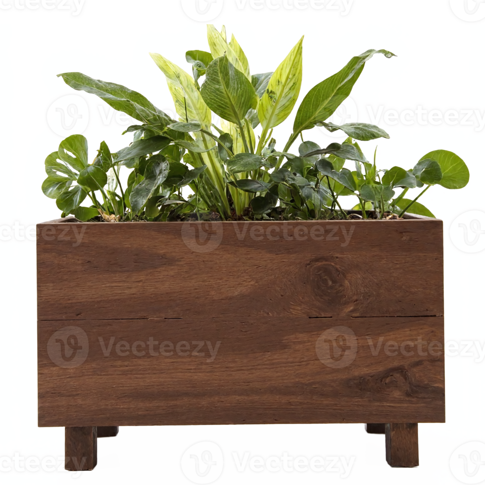 Indoor Wooden Planter Box with Varied Green Leafy Plants on Transparent Background png