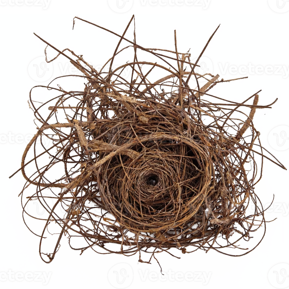 Detailed Bird Nest Made of Dry Twigs and Branches with Transparent Background Clipping Path png