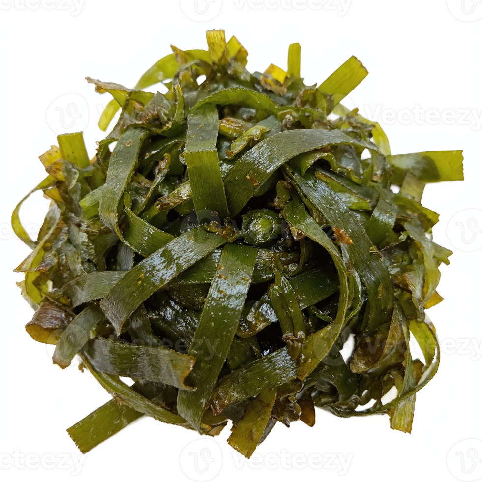 Fresh Green Seaweed Bundle with Wet Shiny Texture Isolated on Transparent Background png
