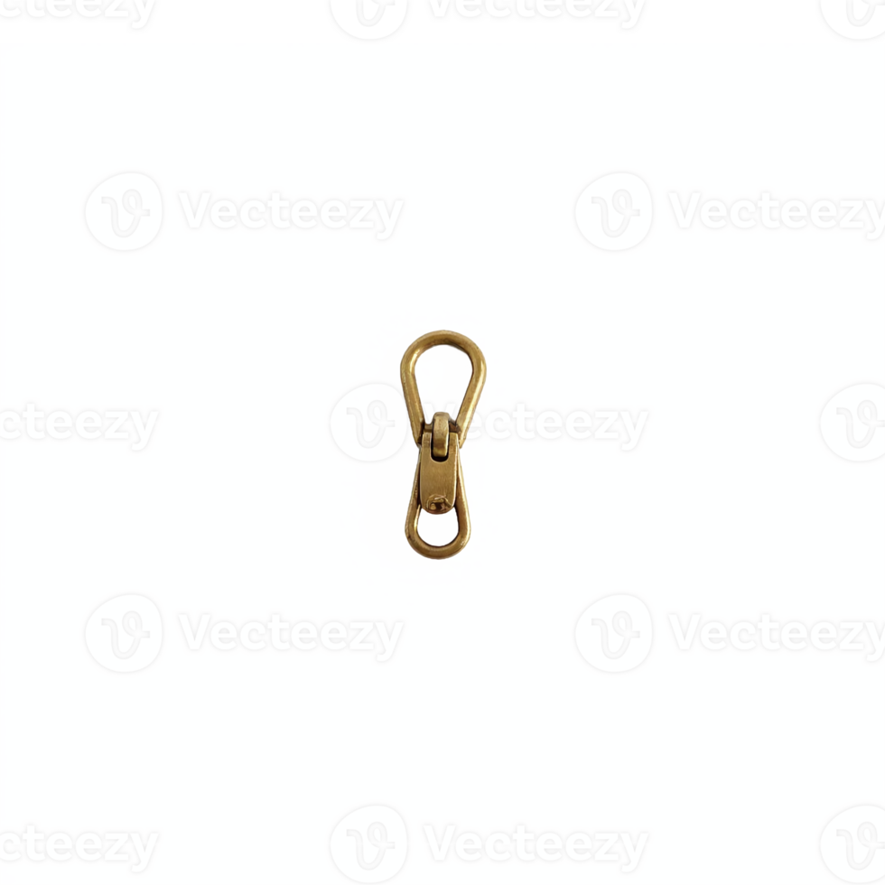 Bronze Carabiner Clip Hook Isolated on Transparent Background with Clipping Path png