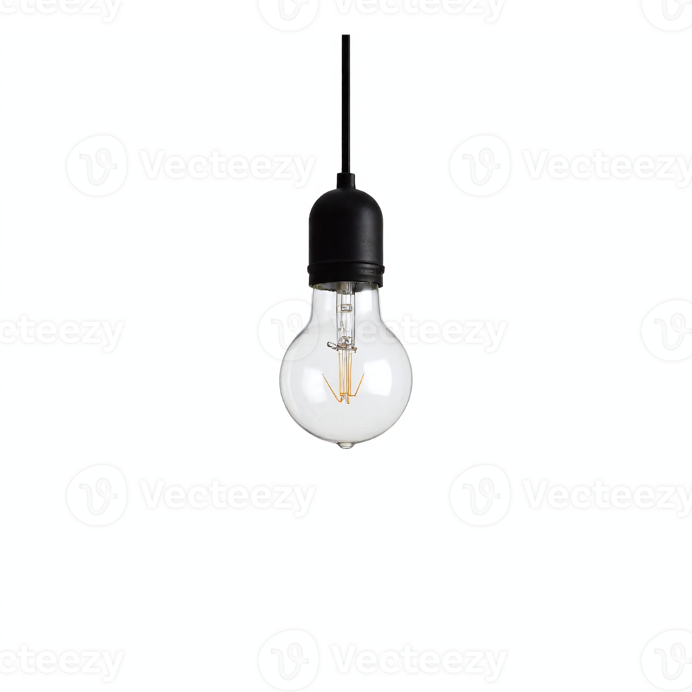 Clear Light Bulb Hanging From Cord with No Background Transparent Clipping Path png