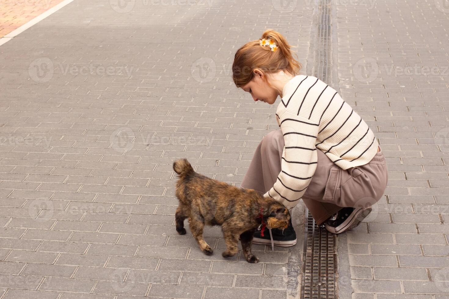 Exploring Spain's streets while interacting with a friendly cat during a leisurely walk photo