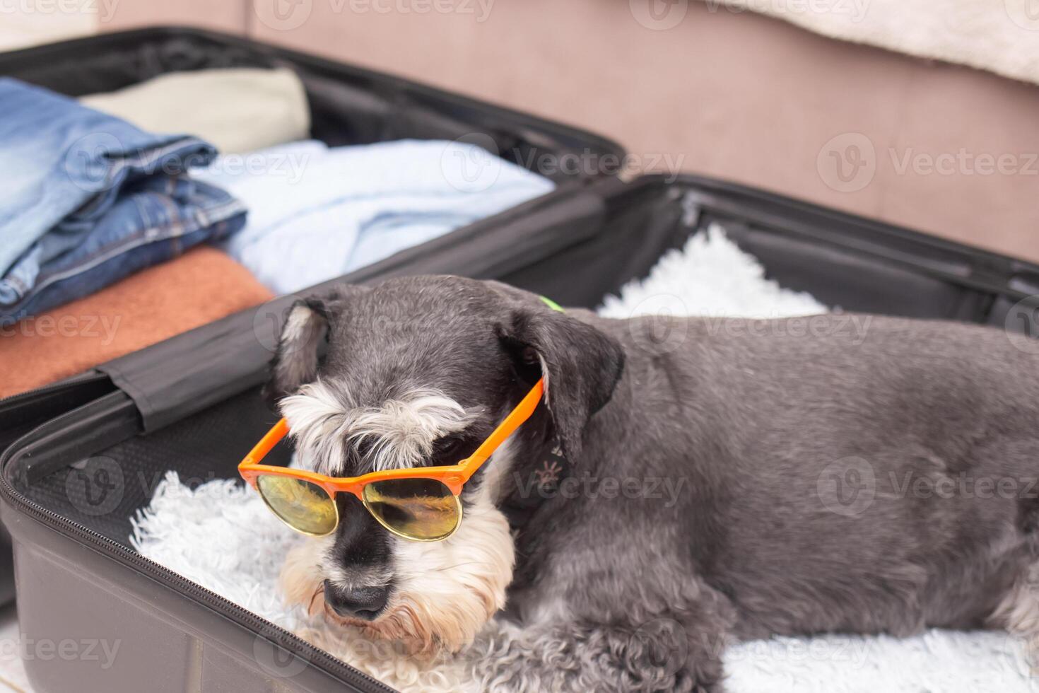 Girl and dog prepare for vacation in suitcase filled with clothes photo
