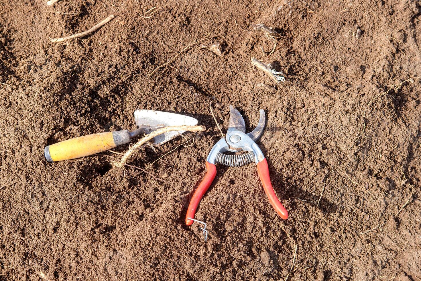 Gardening Tools Being Used in an Archaeological Context. photo