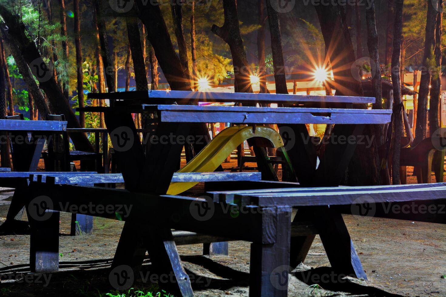 Wooden benches and a yellow slide in a pine forest park at night, illuminated by warm lights. Tranquil atmosphere and rustic charm photo
