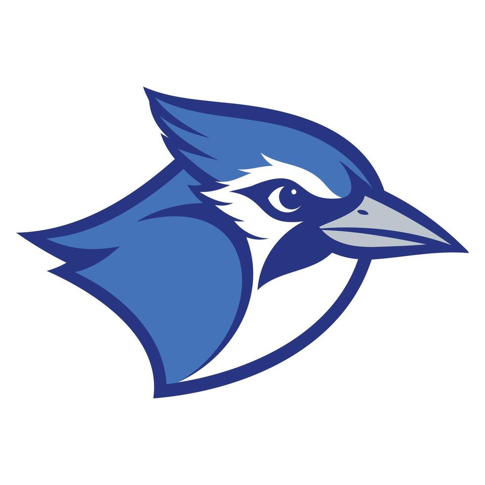 Blue jay bird logo design vector