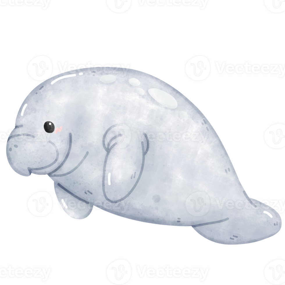 Cute Watercolor Manatee Swimming Peacefully in watercolor style png