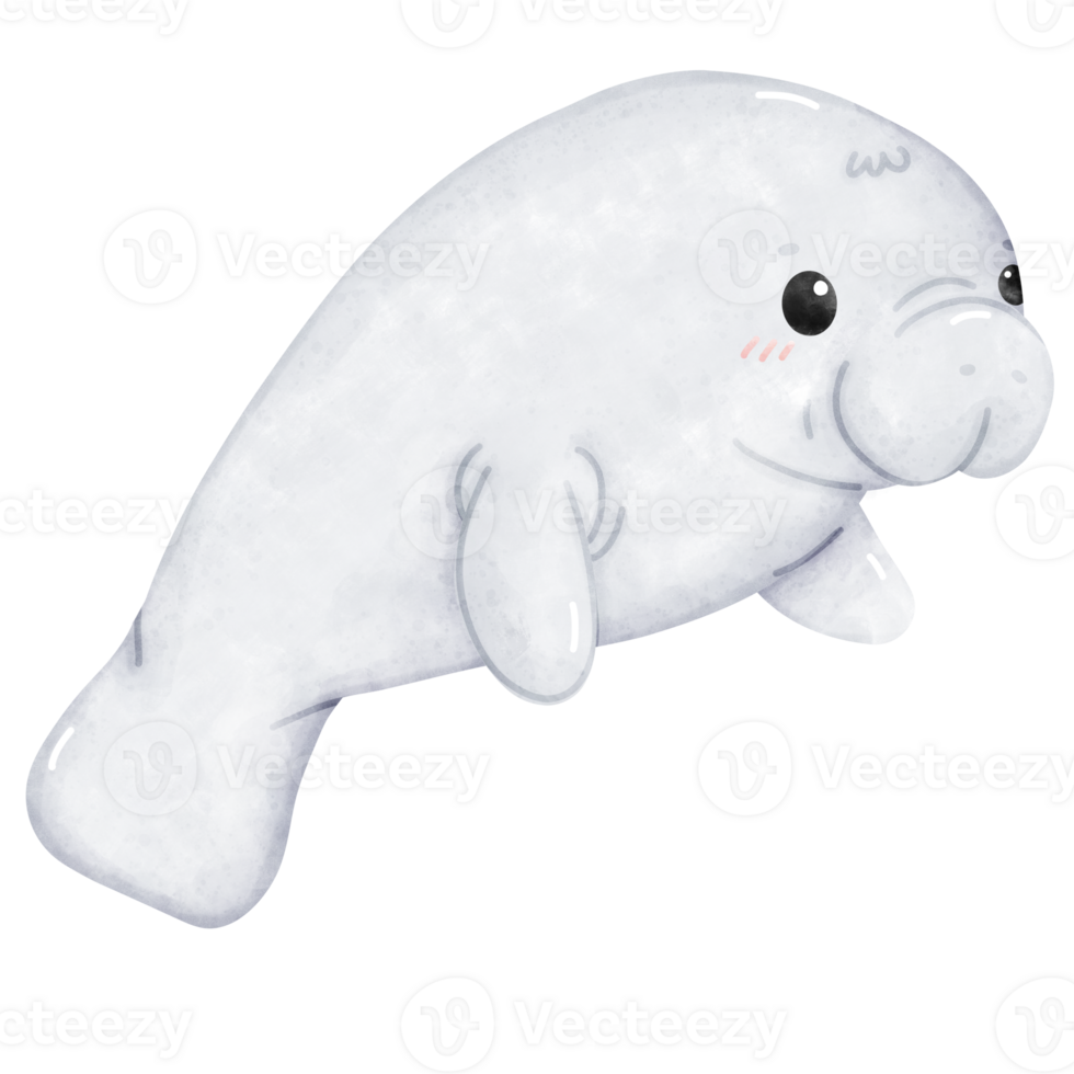 Floating cute manatee in the sea chilling png