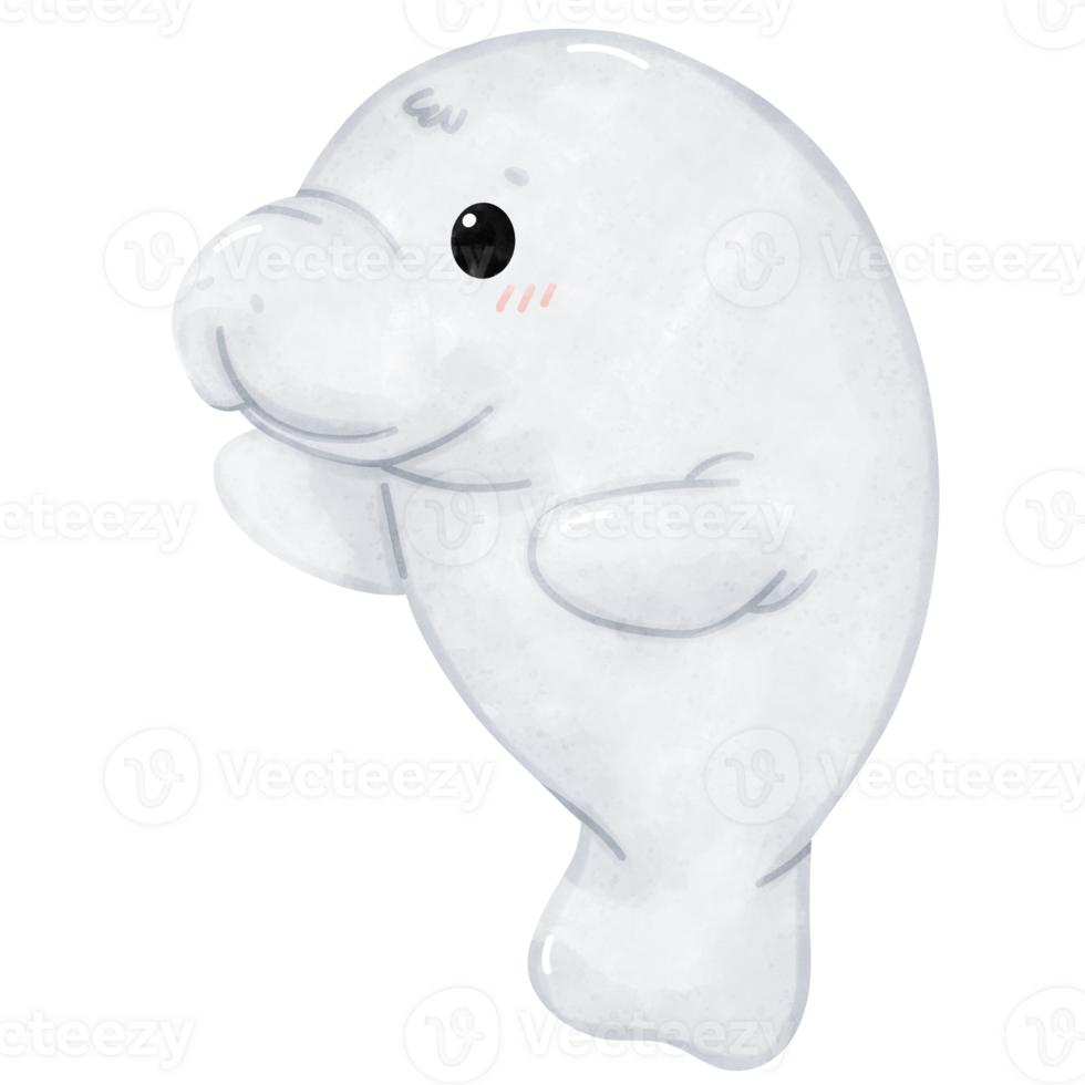 shy manatee in watercolor style png